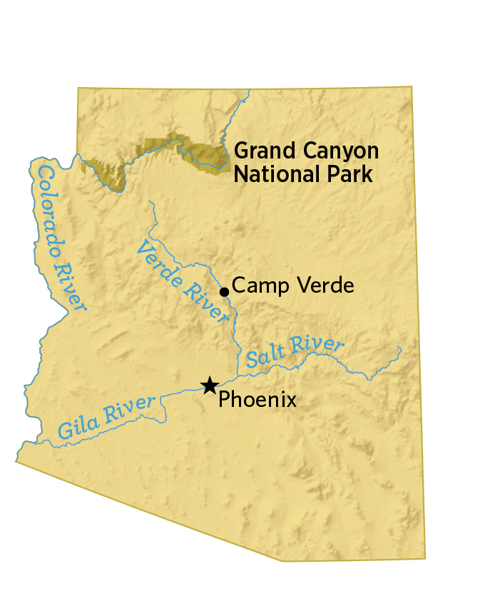 Un mapa de Arizona muestra en dónde está Camp Verde.